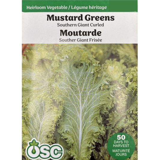 OSC Seeds Mustard Greens Southern Giant Curled Pkg.