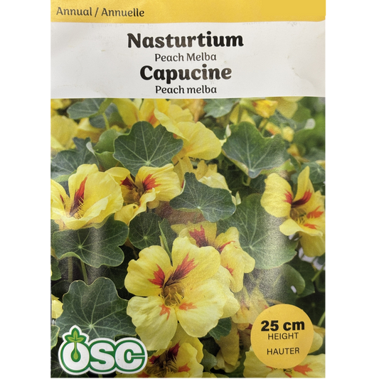 OSC Seeds Nasturtium Peach Melba Pkg.