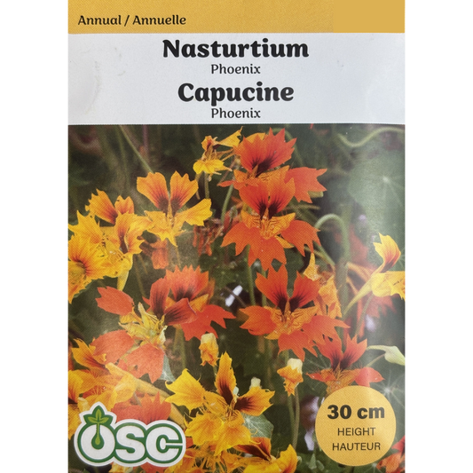 OSC Seeds Nasturtium Phoenix Pkg.