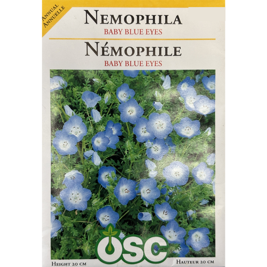OSC Seeds Nemophila Baby Blue Eyes Pkg.