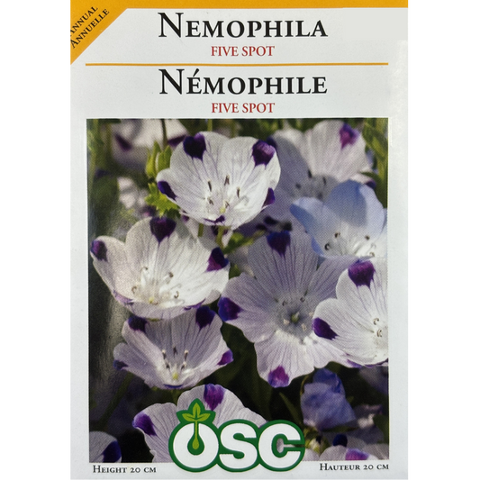 OSC Seeds Nemophila Five Spot Pkg.