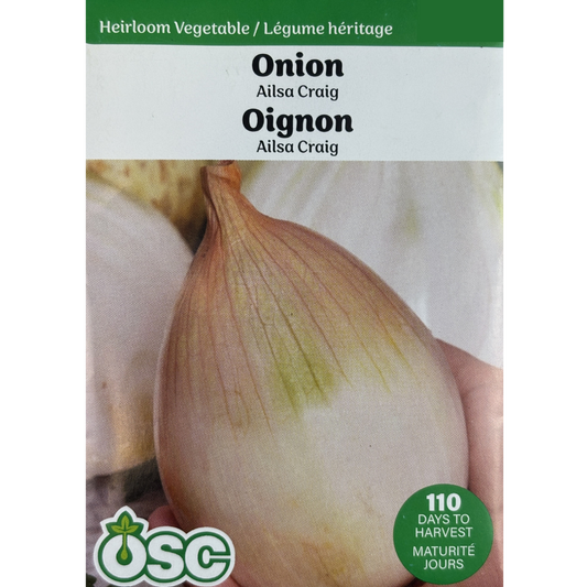 OSC Seeds Onion Ailsa Craig Pkg.