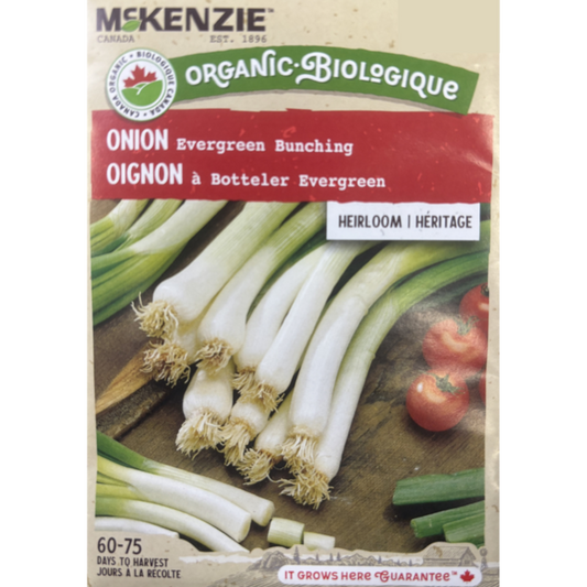 McKenzie Organic Seed Onion Evergreen Bunching Pkg.