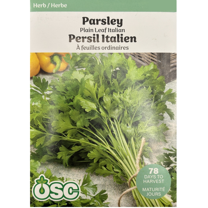 OSC Herb Seeds Parsley Plain Leaf Italian Pkg.