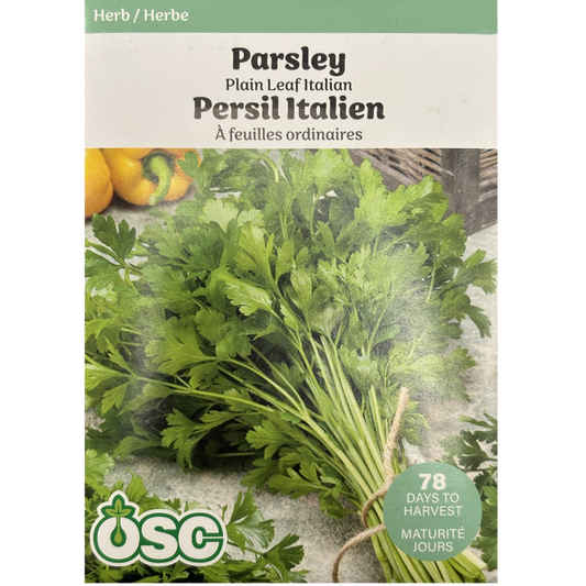 OSC Herb Seeds Parsley Plain Leaf Italian Pkg.
