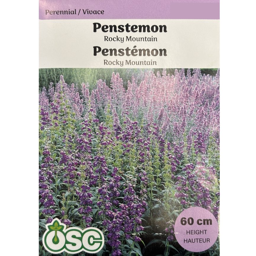 OSC Seeds Penstemon Rocky Mountain Pkg.