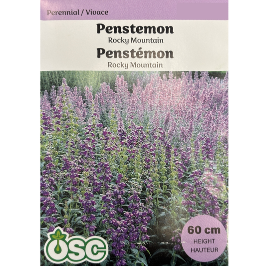 OSC Seeds Penstemon Rocky Mountain Pkg.