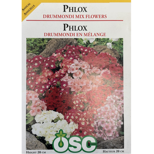 OSC Seeds Phlox Drummondi Mixed Flowers Pkg.