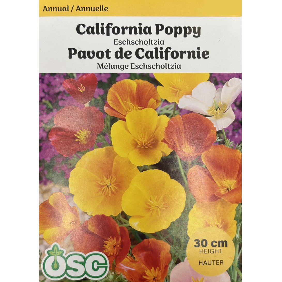 OSC Seeds Poppy California Eschscholtzia Pkg.