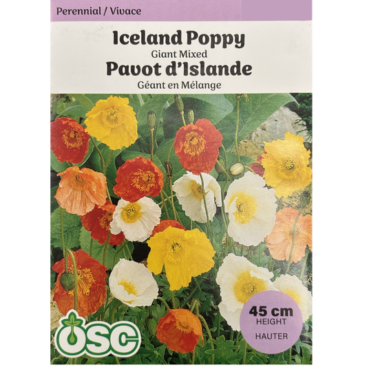 OSC Seeds Poppy Iceland Giant Mixed Pkg.
