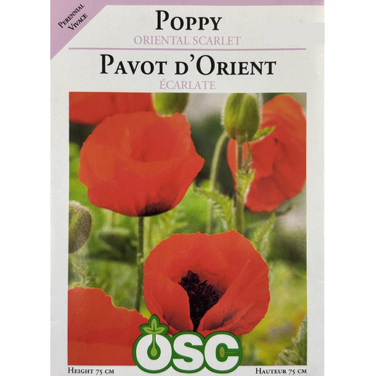 OSC Seeds Poppy Brilliant Scarlet Pkg.