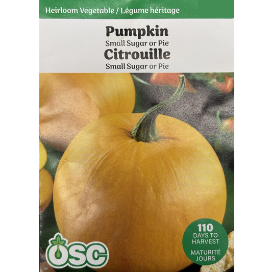 OSC Seeds Pumpkin Small Sugar or Pie Pkg.