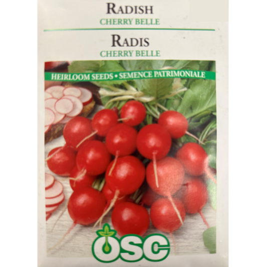 OSC Seeds Radish Cherry Belle Pkg.