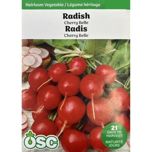 OSC Seeds Radish Cherry Belle Pkg.