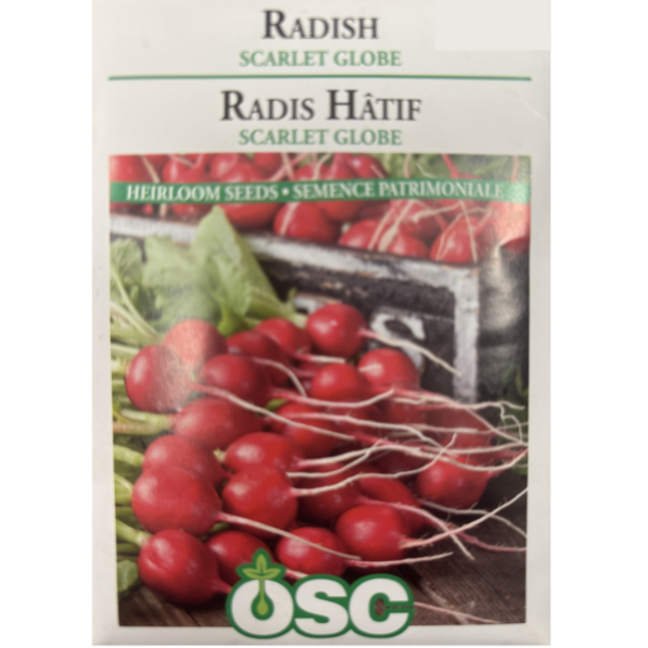 OSC Seeds Radish Scarlet Globe Pkg.