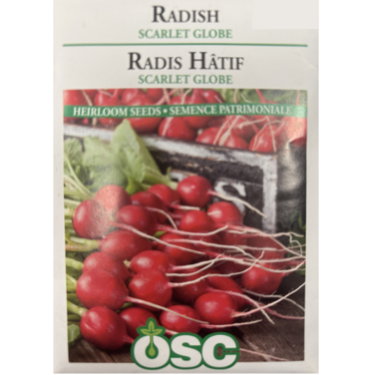 OSC Seeds Radish Scarlet Globe Pkg.