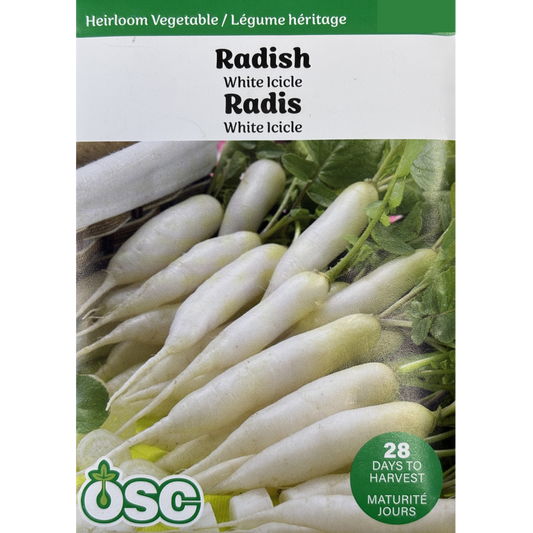 OSC Seeds Radish White Icicle Pkg.