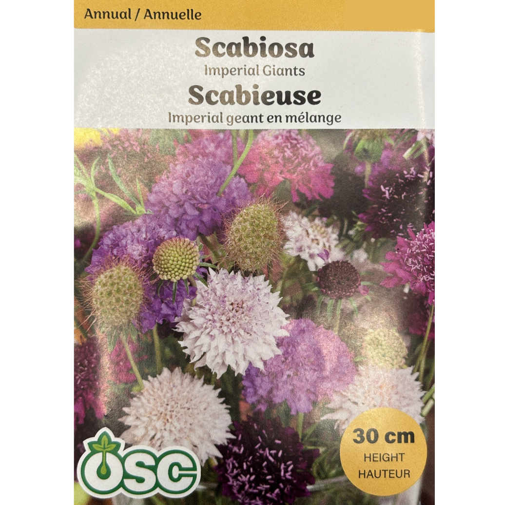 OSC Seeds Scabiosa Imperial Giants Mixed Pkg.