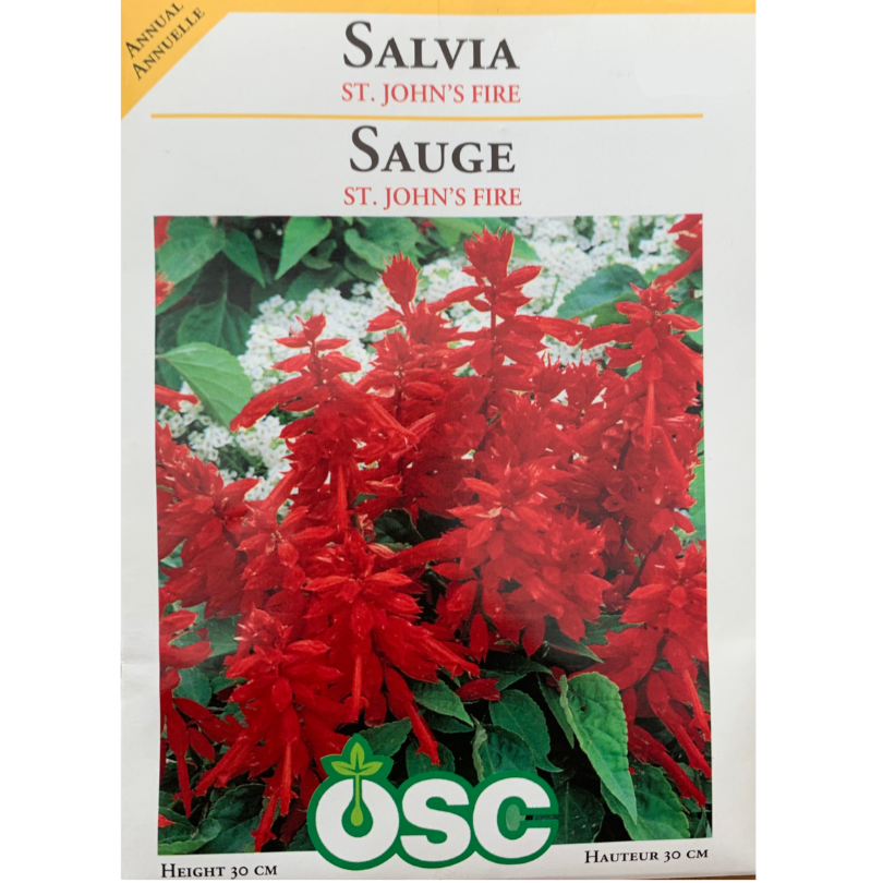 OSC Seeds Salvia St. John's Fire Pkg.