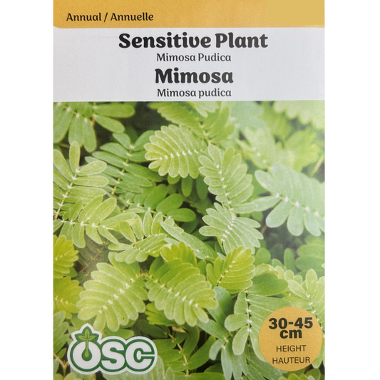 OSC Seeds Sensitive Plant Mimosa Pkg.