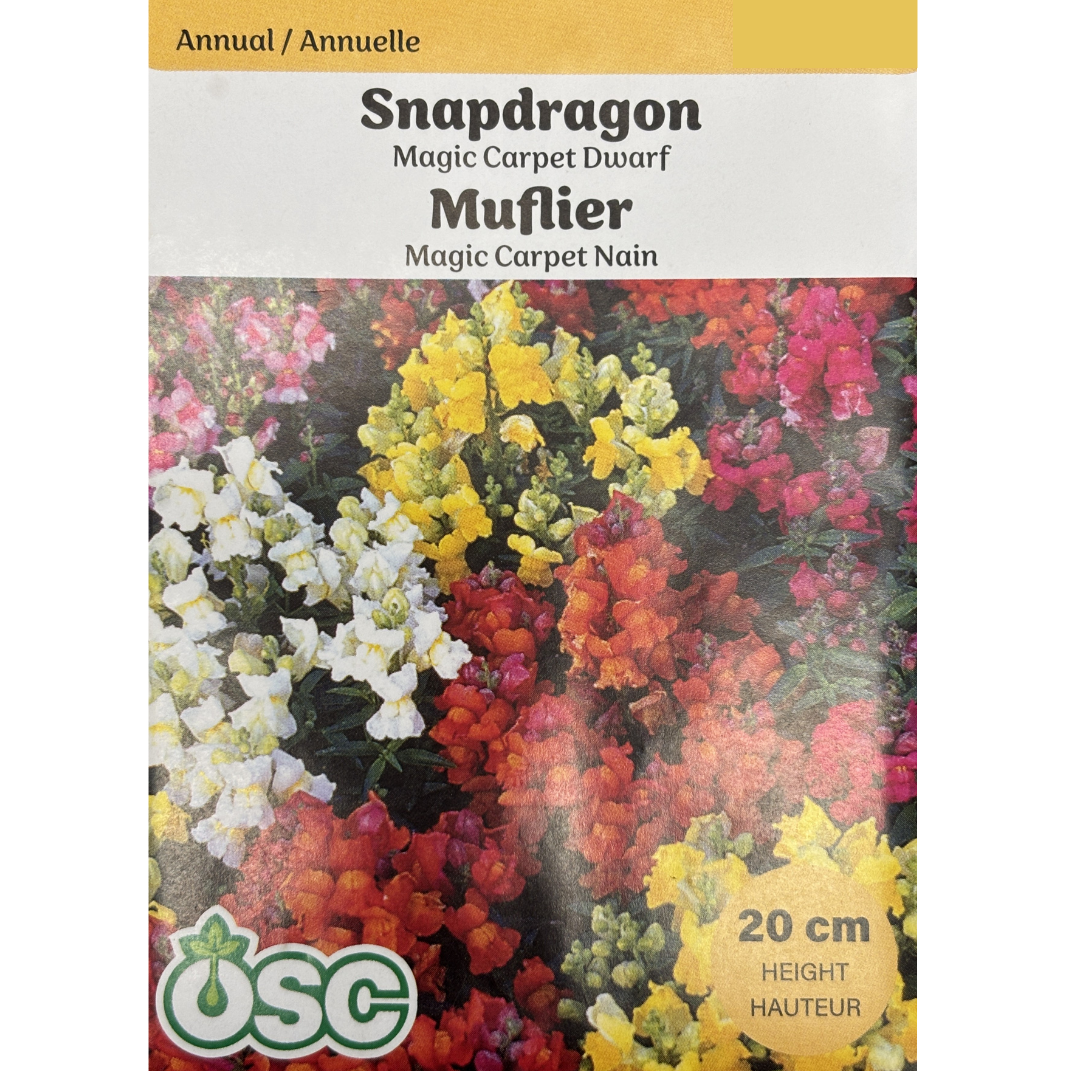 OSC Seeds Snapdragon Magic Carpet Dwarf Pkg.