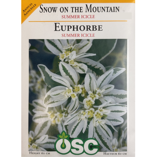 OSC Seeds Snow on the Mountain Summer Icicle Pkg.