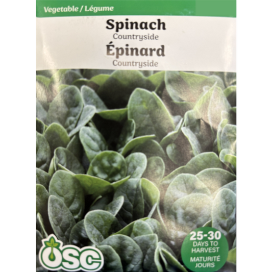 OSC Seeds Spinach Countryside Pkg.
