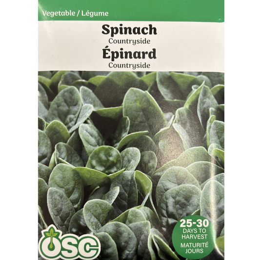 OSC Seeds Spinach Countryside Pkg.
