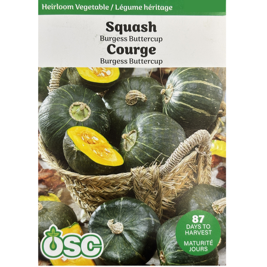 OSC Seeds Squash Burgess Buttercup Pkg.