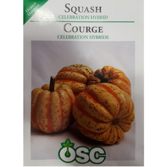 OSC Seeds Squash Celebration Pkg.