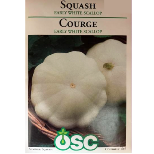 OSC Seeds Squash Early White Scallop