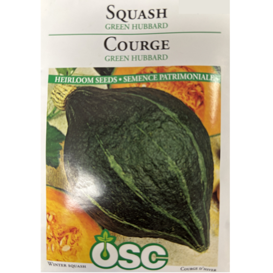 OSC Seeds Squash Green Hubbard Pkg.