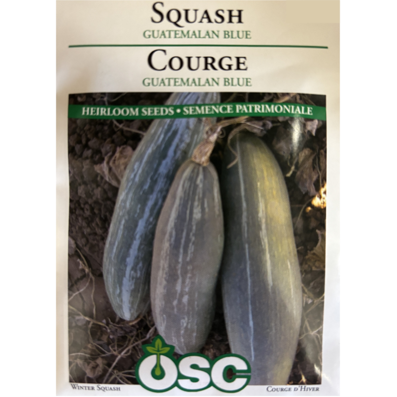OSC Seeds Squash Guatamalen Blue Pkg.