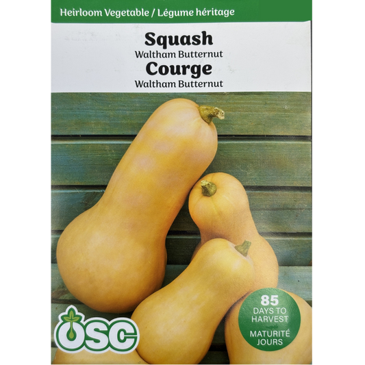 OSC Seeds Squash Waltham Butternut Pkg.