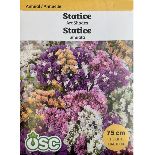 OSC Seeds Statice Art Shades Pkg.