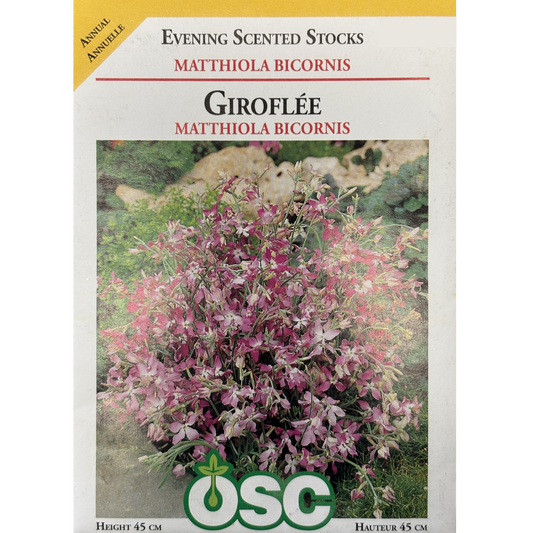 OSC Seeds Stocks Evening Scented Pkg.