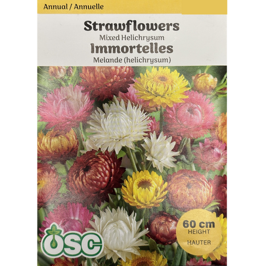 OSC Seeds Strawflowers Mixed Helichrysum Pkg.