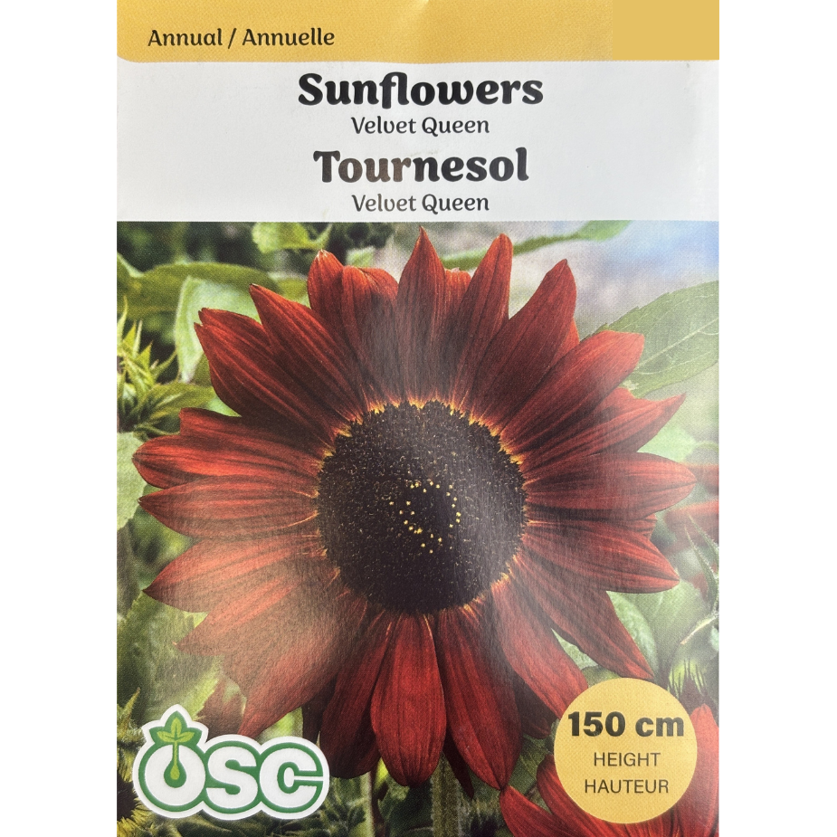 OSC Seeds Sunflower Velvet Queen Pkg