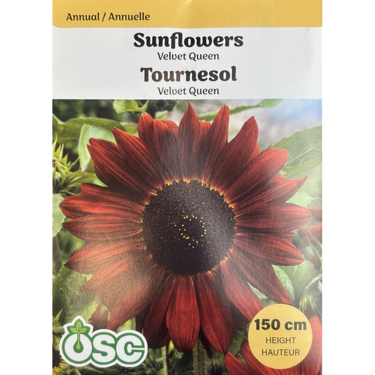 OSC Seeds Sunflower Velvet Queen Pkg