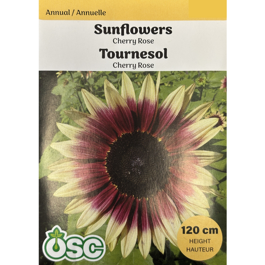 OSC Seeds Sunflower Cherry Rose Pkg.