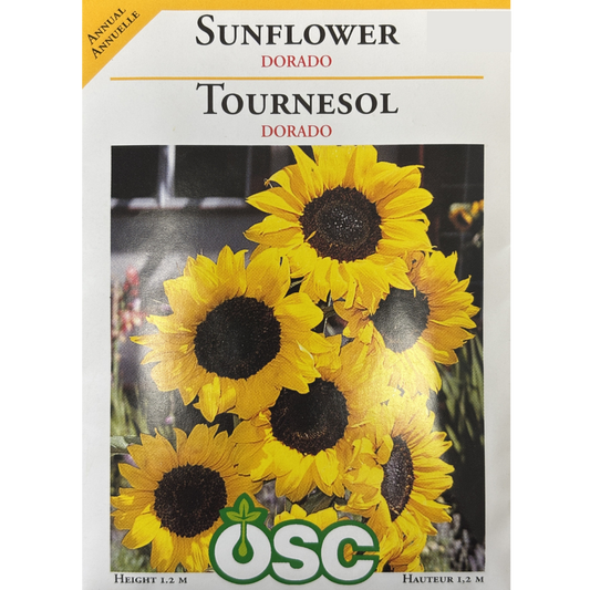 OSC Seeds Sunflower Dorado Pkg.