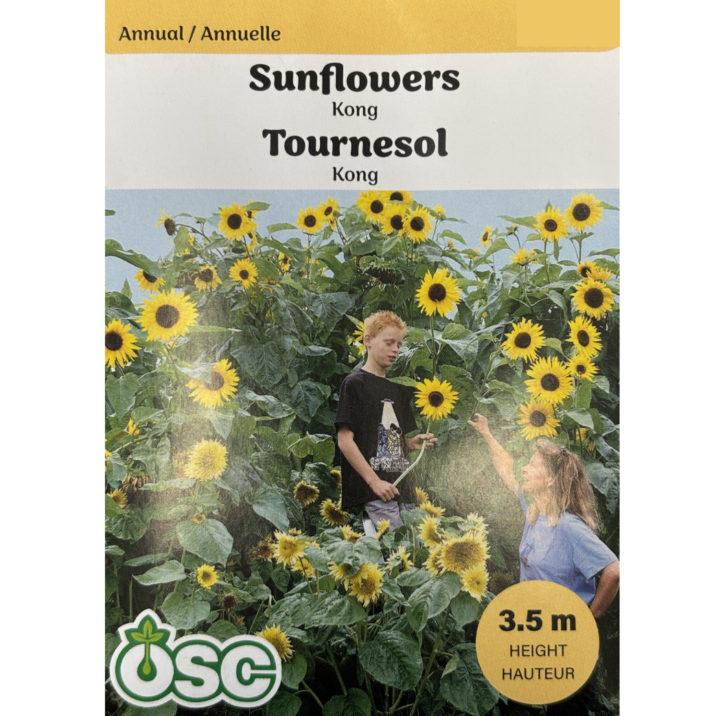 OSC Seeds Sunflower Kong Pkg.