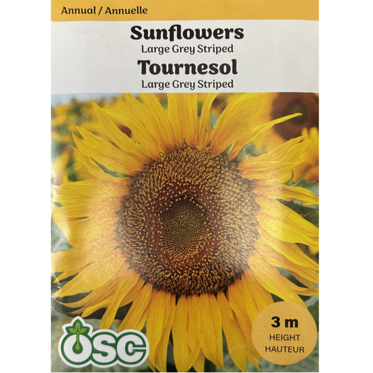 OSC Seeds Sunflower Large Grey Striped Pkg.