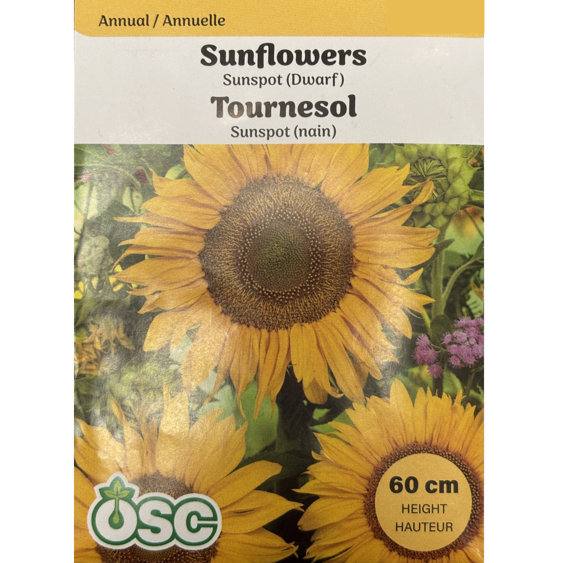 OSC Seeds Sunflower Sunspot Dwarf Pkg.