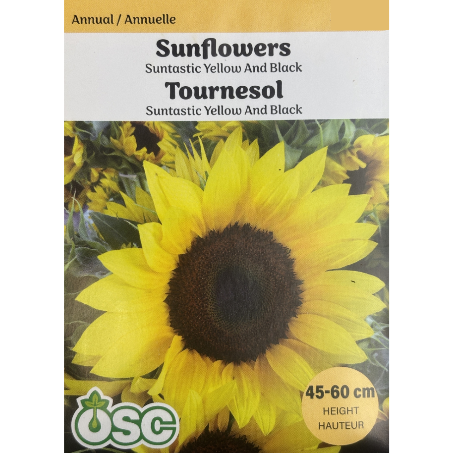 OSC Seeds Sunflower Suntastic Yellow and Black Pkg.