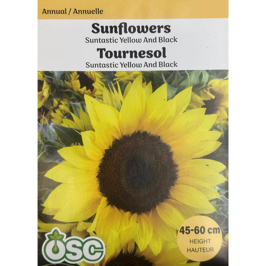 OSC Seeds Sunflower Suntastic Yellow and Black Pkg.