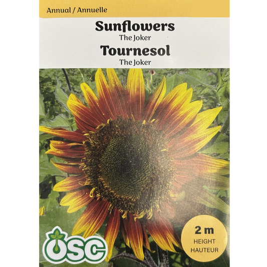 OSC Seeds Sunflower The Joker Pkg.