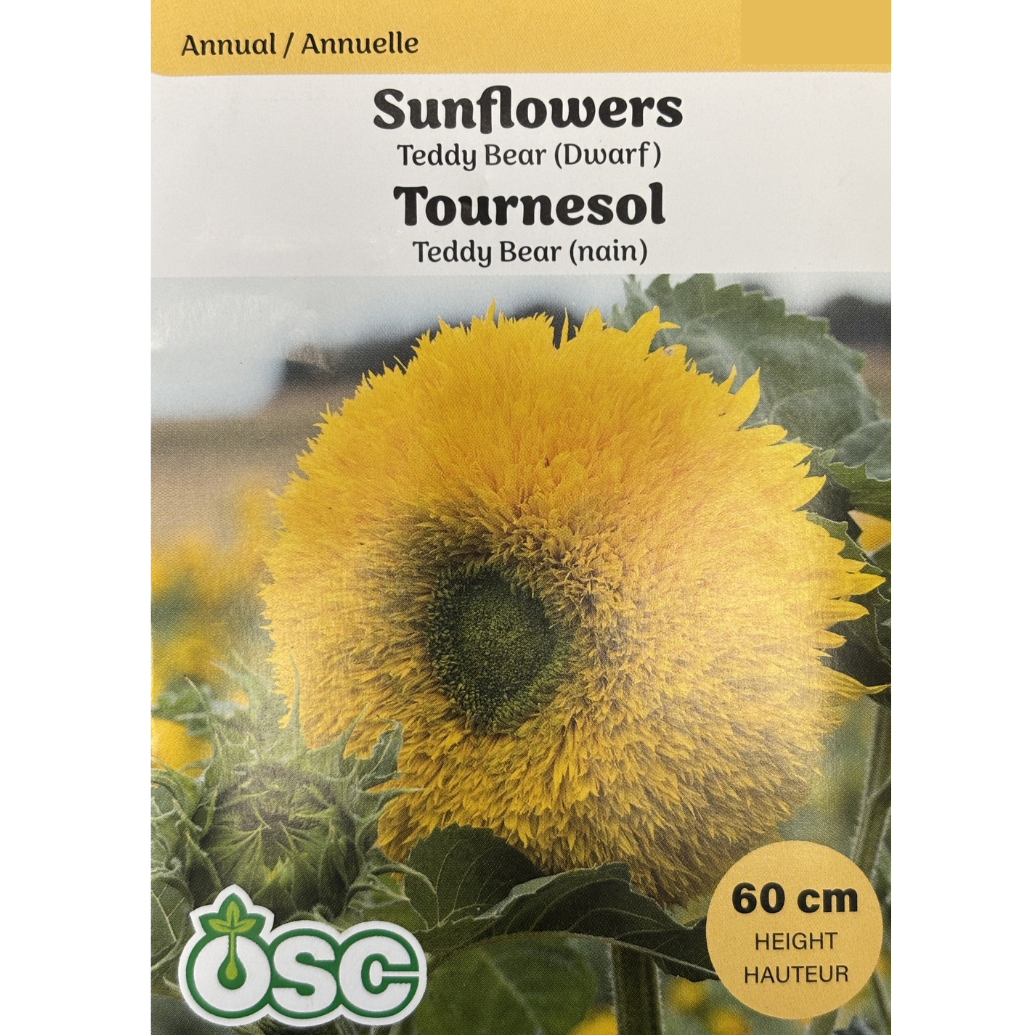 OSC Seeds Sunflower Teddy Bear Dwarf Pkg.