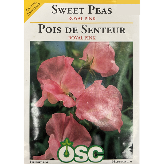 OSC Seeds Sweet Pea Royal Pink