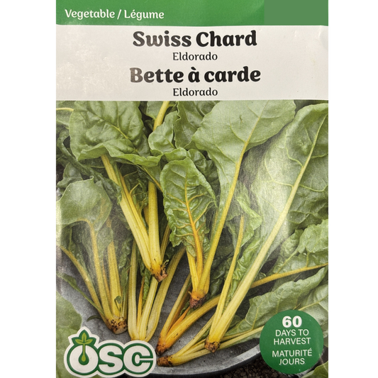 OSC Seeds Swiss Chard Eldorado Pkg.